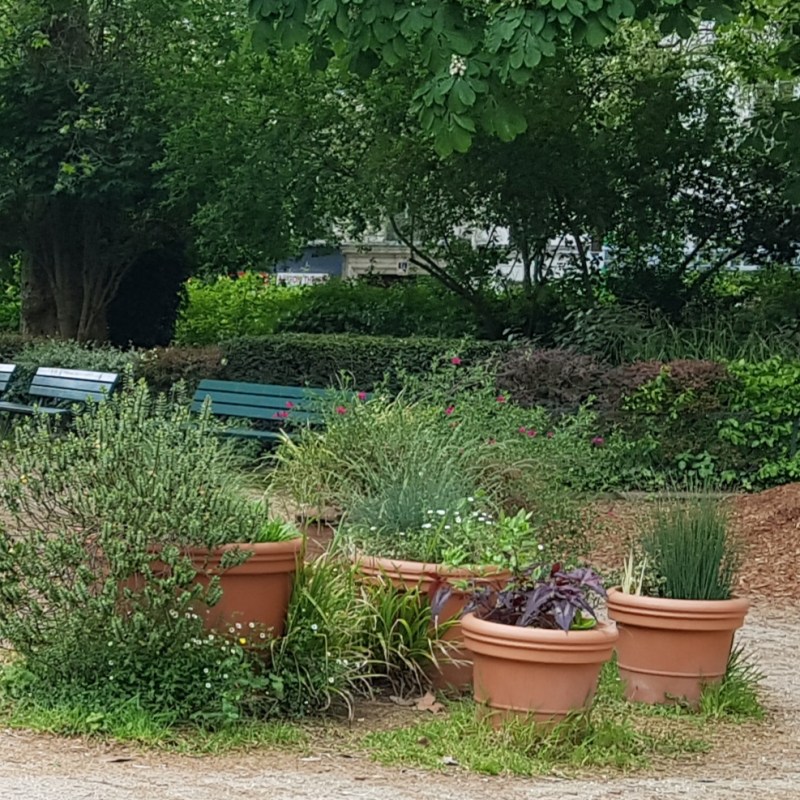 A WALK IN THE&nbsp;PARK