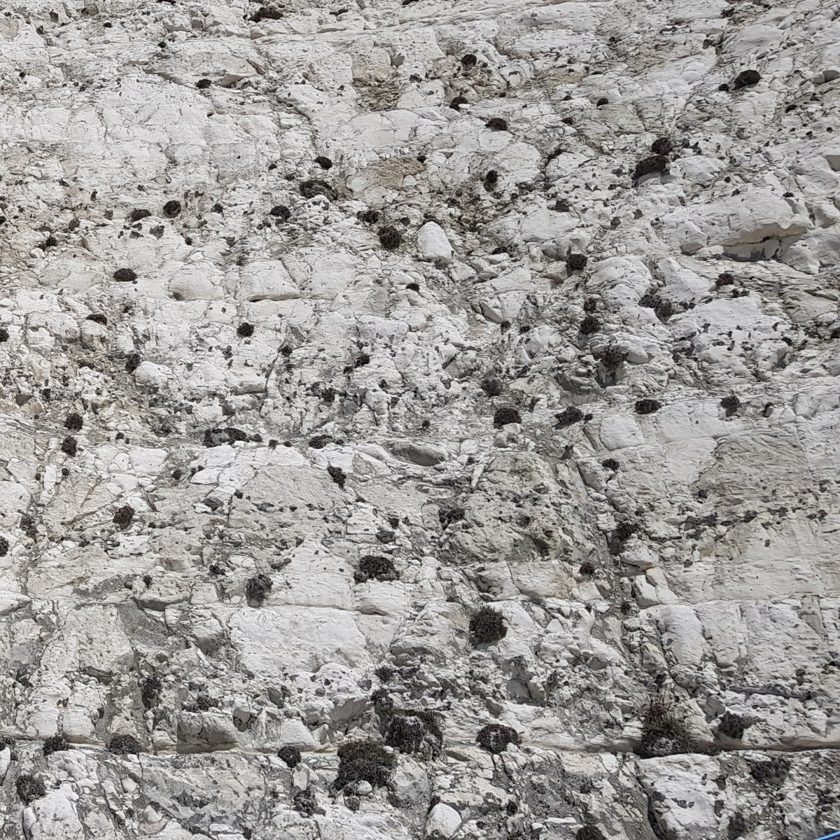 WILDERNESS – LENT&nbsp;2025